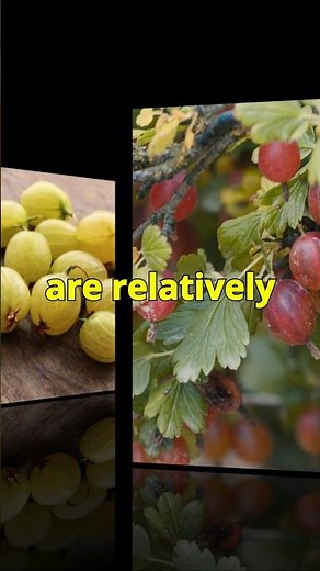Unlock the Secret to Growing Gooseberries in Your Garden!