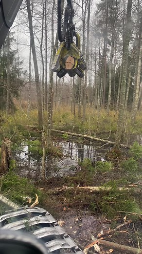 LV_harvester on TikTok