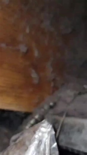 #splitunitsystem #splitunits #splitunitcleaning #splitunit #splitunit #cleaning #linthappens #dryerlint #dryerventcleaning #clean #goventright #satisfying #cleanwithme #linthappens #homecare