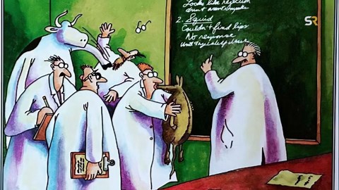 Funniest The Far Side Comics Where Science Doesn't Go According to Plan