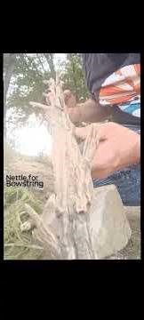 Hand Twisted cordage from wood nettle making a bow and drill fire with stone and bone tools, only🔥