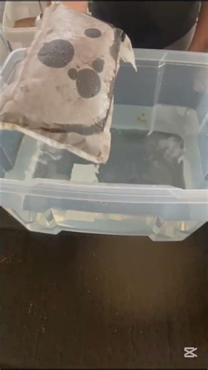 BioGuard: Pillow with Fiber on Water