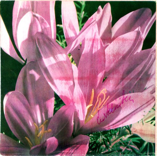 Kate Bush - Babooshka