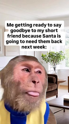 #christmas #short #elf #holiday #memes | David Vincent