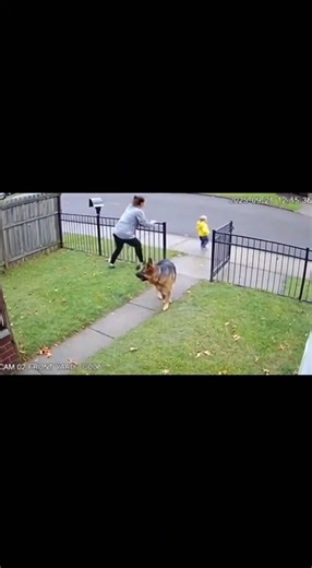 Hero German Shepherd Slams Gate Shut to Save Toddler! 🐕🚧🔊 | CAM 12:15 #shorts