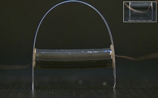 Inchworm-inspired soft robot