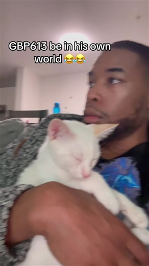 Creative Cat-Themed Clear Bottle Design Ideas