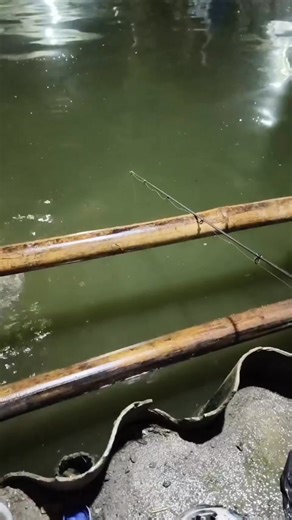 Babon gess #mancing | Deanz Channel