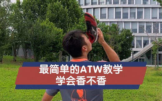 最简单的ATW教学，学会了就问你香不香吧