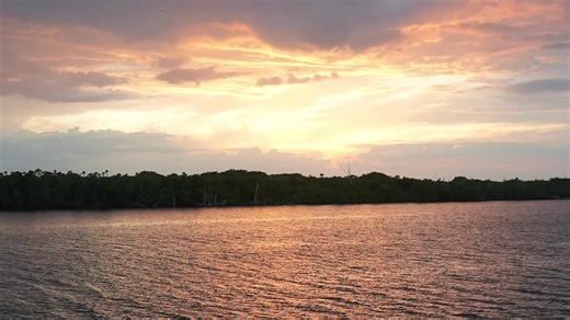 1.4K views · 42 reactions | Here is a recap of the Ponsse Ladies adventure in Florida! | Ponsse North America | Facebook