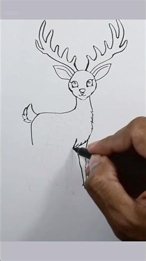 This Stag Drawing Comes Alive 🦌 | Easy Deer Art #Shorts