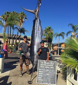 PHOTO: San Diego Man Catches Biggest Blue Marlin In California In 70 Years