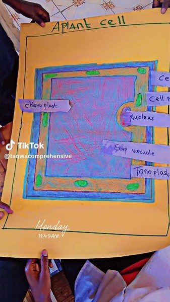 Grade 8 Integrated Science Project with Mr. Sahal