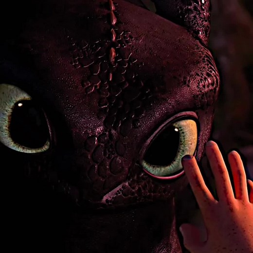 Fascinating Toothless Facts You Didn't Know!