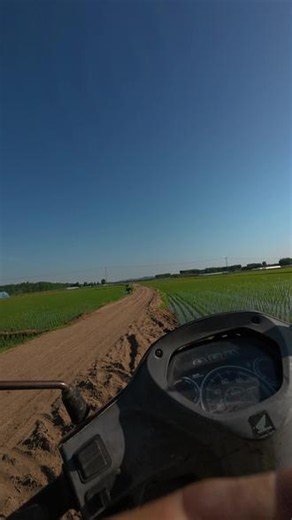 五常大米种植全过程#治愈的麦田