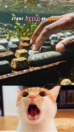 Stone vs Coral vs Chest Keyboard ASMR 🪨🪸🪙 | Choose the best keyboard!