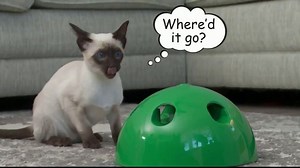 Pop N' Play TV Spot, 'Fun Peek-a-Boo Play'