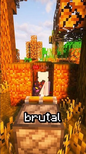 Finally, a Minecraft Server that is actually HARD. ⚔️#shorts #lifestealsmp #minecraft