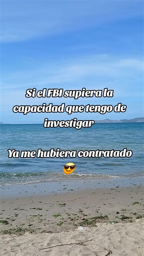 Investigating FBI-Level Skills: A Humorous Take