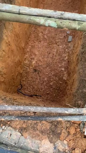 Selamat malam semua..aku ka nanya bala kita..nama enda reti ular masuk ba lubang kubur..sebedau kami ke nganjung orang ke nadai nyak ke pendam..enti kita ke bisi Nemu reti tu..Anang enda reti utai baka tu... | Denis Nis Content