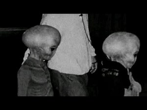 Photos that Show Real extraterrestrials