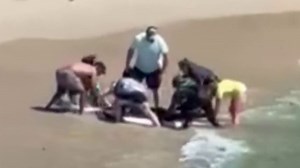 Shark attack rescue caught on camera; swimmer hospitalized