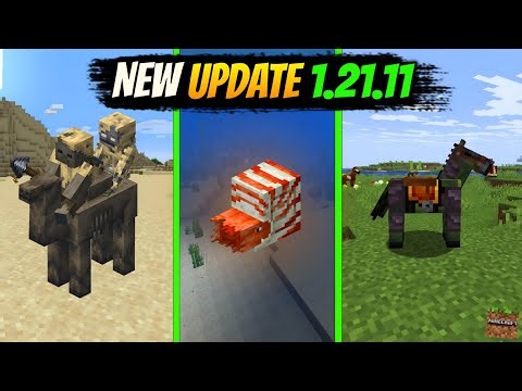 MINECRAFT NEW UPDATE 1.21.11 ALL FEATURE EXPLAINED 🤔 ||