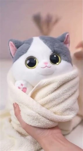 ✨ Fluffy Cat Plush Spa Day | Cute Toy Unboxing & Care Routine 🐾 #CatPlush #ToyCare #RelaxingVideo