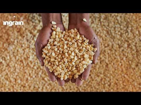 Ingrain - Who we are