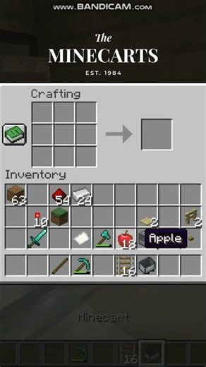 minecarts #minecraft #gaming #dothingsyoudontwanttodo #minecraftbuilding #memes #games