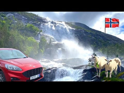 Mind-blowing Norway Road Trip Summer Adventure!!