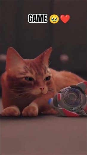 CENA EMOCIONANTE #shortsfeed #shorts #shortvideo