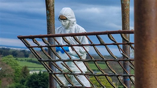 Expert Witness - Series 4: 13. Unearthing the Truth