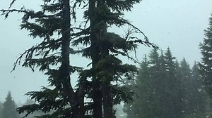 48K views · 445 shares | Snow in June. | Timberline Lodge | Facebook