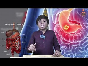 Human Digestive System | Kids Friendly Explanation | Easy Science Video