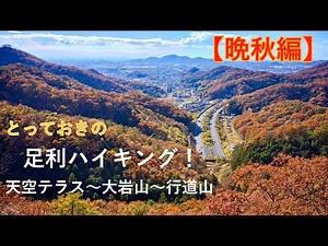 【関東日帰り低山】4K 「関東の高野山」行道山浄因寺の紅葉を楽しみながら 足利ハイキング！