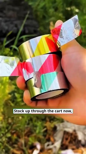 🐦 Tired of birds wrecking your farm or garden? 🌿 This reflective tape uses light and motion to scare away unwelcome guests—no chemicals or noise required! ✨ 🌞 Its double-sided reflective surface flashes in sunlight, naturally deterring birds to protect your produce and flowers. 🍓🌻 💪 Crafted from weather-resistant materials, it withstands wind, rain, and sun—providing worry-free protection year-round! Simply hang it on branches, fences, or stakes to enjoy a bird-free garden! 🌳💫 https://sa