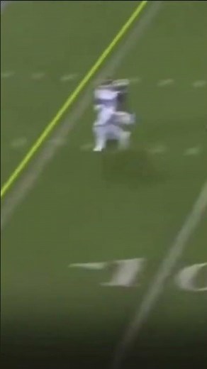 Cat Intercepts a Touchdown | Cowboys vs Giants🙀