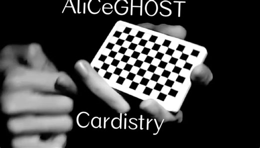 【午夜花切】花切两周年 | AliCeGHOST cardistry vlog