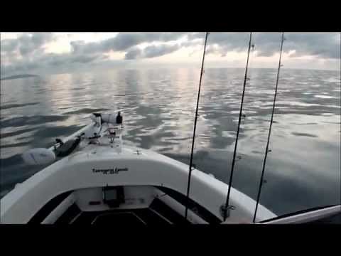 60HP Yamaha Outboard Review and 485 Streaker Boat!!