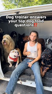 Your food questions answered 🤔💭 . #dogtraining #dogtrainingtips #dogtrainingadvice #doglover #dogpsychology #reactivedog #puppytraining #dog #dogbehavior #dogpsychology #dogpack #reactivedog #aggressivedog #viral | Cherry Hoggs