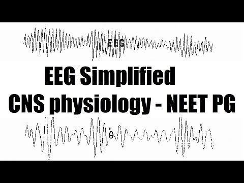 EEG - Electroencephalography (with charts ) - CNS physiology