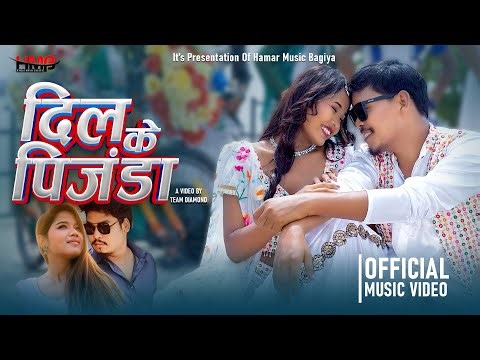 Dilke Pinjra | Ft. Bir Chaudhary | Sneha Chaudhary | By Annu Chaudhary | Ak Chaudhary | New Song