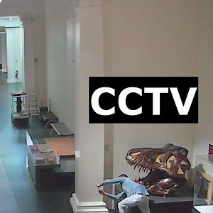 53K views · 273 reactions | Try not to fail this hard, there's always a CCTV watching somewhere... Funny Videos Want to be featured? Message us videos you filmed to be featured on the page! | Funny Videos | Facebook