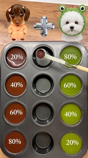 🌈 Color Mixing Challenge | Satisfying Art #colorexperiment