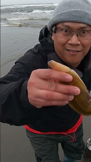 Pacific Razor Clam in Long Beach, Washington #razorclamdigging #ClamDigging #PacificNorthwest