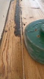 Before & after 💥 #precisionfloorsanding #letsrestore #woodenfloor #flooring #satisfying | Precision Floor Sanding