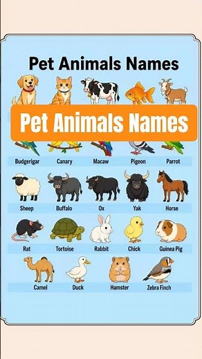 🔴 Pet Animals Names in English | Common Pets You Should Know