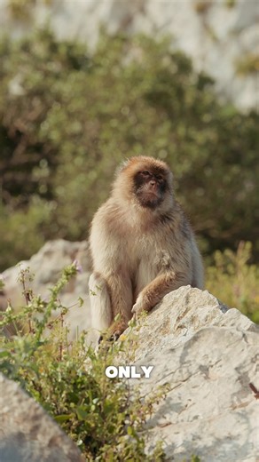 3.4K views · 1.3K reactions | On the job for #ExpeditionX in...