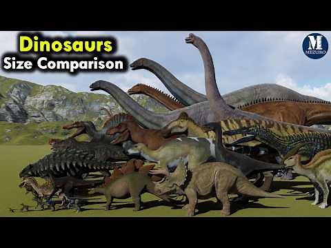 Dinosaurs Size Comparison | 3D Animation